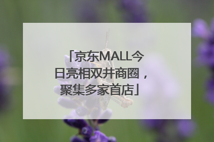 京东MALL今日亮相双井商圈，聚集多家首店