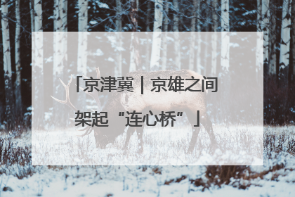 京津冀｜京雄之间架起“连心桥”