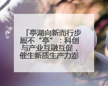 亭湖向新而行步履不“亭”：科创与产业互融互促，催生新质生产力澎湃动能