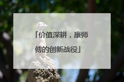 价值深耕，康师傅的创新战役