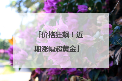 价格狂飙！近期涨幅超黄金