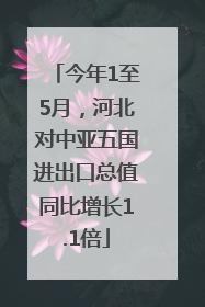 今年1至5月，河北对中亚五国进出口总值同比增长1.1倍