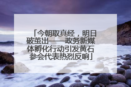 今朝取真经，明日破茧出——政务新媒体孵化行动引发黄石参会代表热烈反响