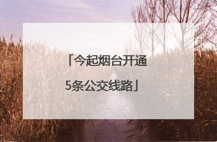 今起烟台开通5条公交线路