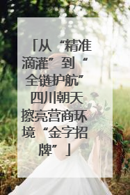 从“精准滴灌”到“全链护航” 四川朝天擦亮营商环境“金字招牌”