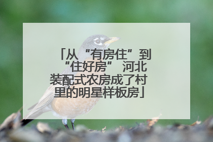 从“有房住”到“住好房” 河北装配式农房成了村里的明星样板房