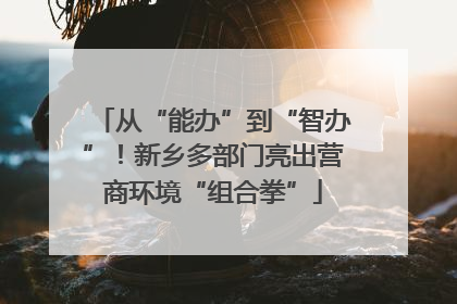 从“能办”到“智办”！新乡多部门亮出营商环境“组合拳”