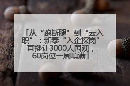 从“跑断腿”到“云入职”：新泰“入企探岗”直播让3000人围观，60岗位一周填满