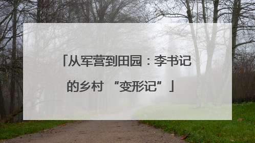 从军营到田园：李书记的乡村 “变形记”
