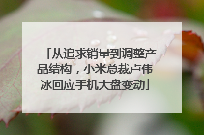 从追求销量到调整产品结构，小米总裁卢伟冰回应手机大盘变动