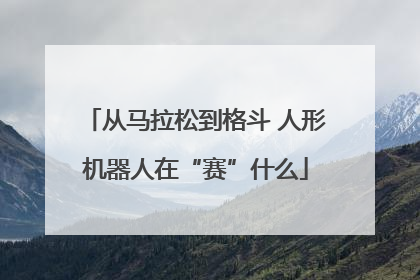 从马拉松到格斗 人形机器人在“赛”什么