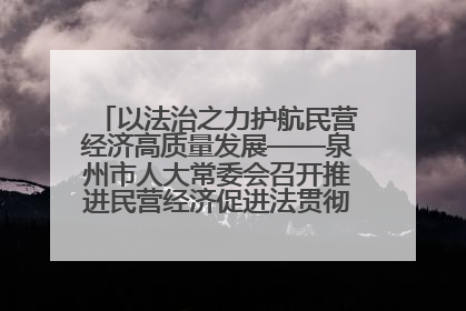 以法治之力护航民营经济高质量发展——泉州市人大常委会召开推进民营经济促进法贯彻实施座谈会