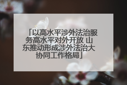 以高水平涉外法治服务高水平对外开放 山东推动形成涉外法治大协同工作格局