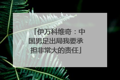 伊万科维奇：中国男足出局我要承担非常大的责任