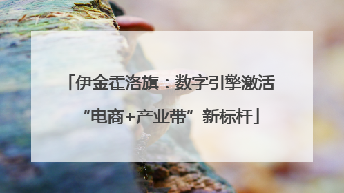 伊金霍洛旗：数字引擎激活“电商+产业带”新标杆