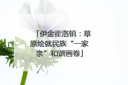 伊金霍洛镇：草原绘就民族“一家亲”和谐画卷
