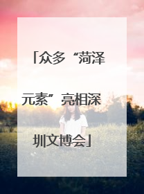 众多“菏泽元素”亮相深圳文博会