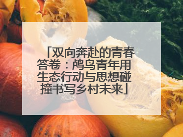 双向奔赴的青春答卷：鸬鸟青年用生态行动与思想碰撞书写乡村未来