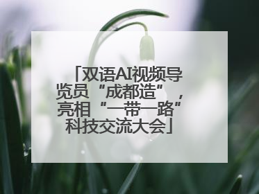双语AI视频导览员“成都造”，亮相“一带一路”科技交流大会
