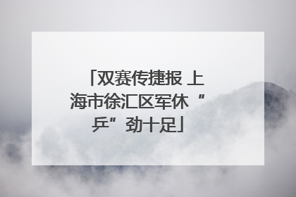 双赛传捷报 上海市徐汇区军休“乒”劲十足