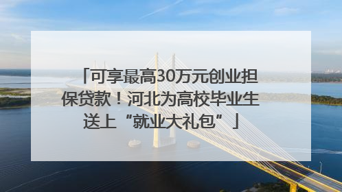 可享最高30万元创业担保贷款！河北为高校毕业生送上“就业大礼包”