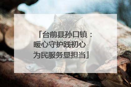台前县孙口镇：暖心守护践初心 为民服务显担当