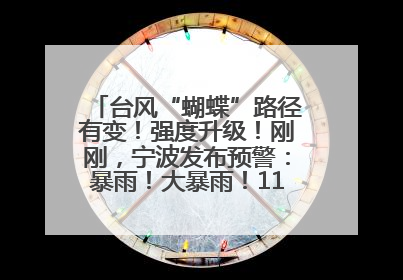 台风“蝴蝶”路径有变！强度升级！刚刚，宁波发布预警：暴雨！大暴雨！11级大风！