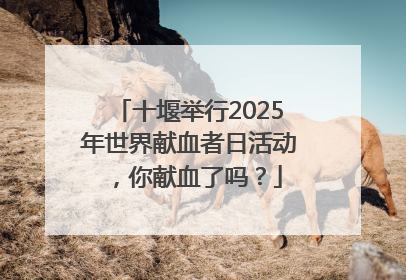 十堰举行2025年世界献血者日活动，你献血了吗？