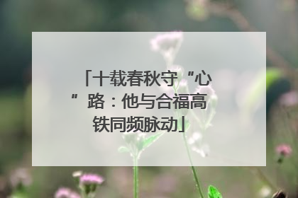 十载春秋守“心”路：他与合福高铁同频脉动