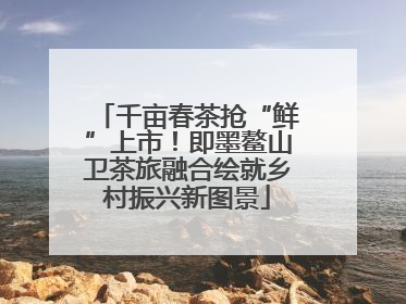 千亩春茶抢“鲜”上市！即墨鳌山卫茶旅融合绘就乡村振兴新图景