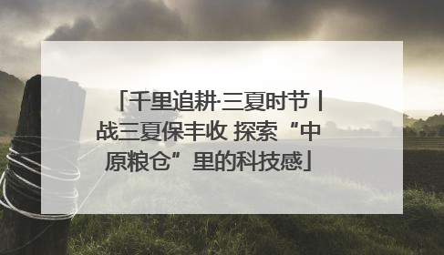 千里追耕·三夏时节丨战三夏保丰收 探索“中原粮仓”里的科技感