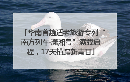 华南首趟适老旅游专列“南方列车·潇湘号”满载启程，17天横跨新青甘