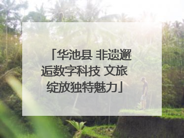 华池县 非遗邂逅数字科技 文旅绽放独特魅力