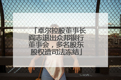 卓尔控股董事长阎志退出众邦银行董事会，多名股东股权遭司法冻结