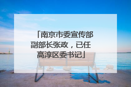 南京市委宣传部副部长张政，已任高淳区委书记