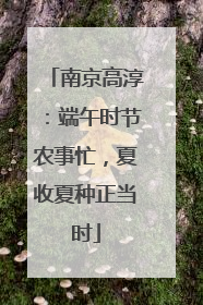 南京高淳：端午时节农事忙，夏收夏种正当时