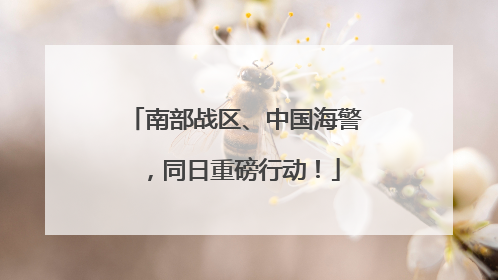 南部战区、中国海警，同日重磅行动！