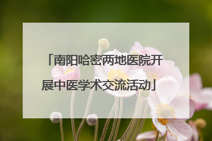 南阳哈密两地医院开展中医学术交流活动