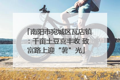 南阳市宛城区瓦店镇：千亩土豆喜丰收 致富路上迎“薯”光