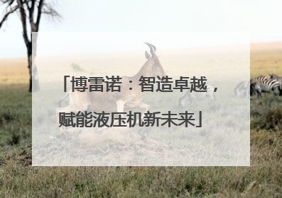 博雷诺：智造卓越，赋能液压机新未来