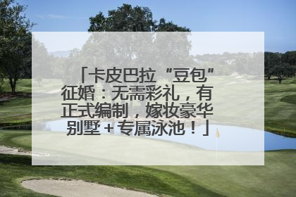 卡皮巴拉“豆包”征婚：无需彩礼，有正式编制，嫁妆豪华别墅＋专属泳池！