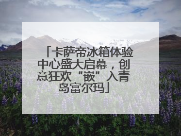 卡萨帝冰箱体验中心盛大启幕，创意狂欢“嵌”入青岛富尔玛