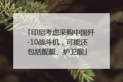 印尼考虑采购中国歼-10战斗机，可能还包括舰艇、护卫舰