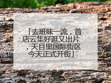 去班味一流，首店云集好逛又出片，天目里国际街区今天正式开街