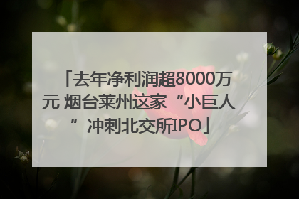 去年净利润超8000万元 烟台莱州这家“小巨人”冲刺北交所IPO