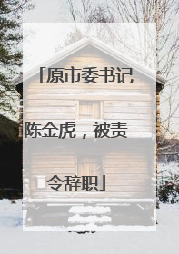 原市委书记陈金虎，被责令辞职
