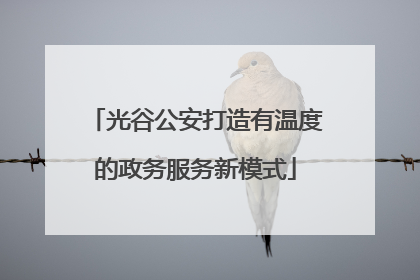 光谷公安打造有温度的政务服务新模式