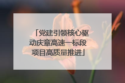 党建引领核心驱动庆章高速一标段项目高质量推进