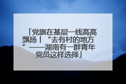 党旗在基层一线高高飘扬丨“去有村的地方”——湖南有一群青年党员这样选择