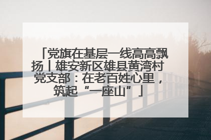 党旗在基层一线高高飘扬丨雄安新区雄县黄湾村党支部：在老百姓心里，筑起“一座山”
